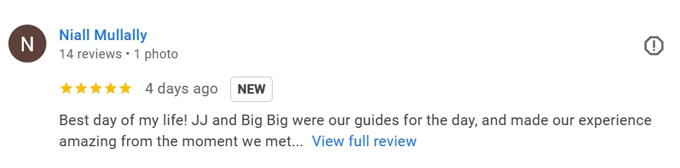 pon elephpant chiangmai thailand reviews